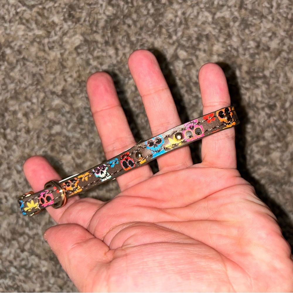 Disney Coco Dog Collar size XS